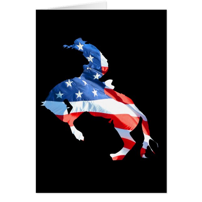 Rodeo is America - Bronco Riding (Devant)