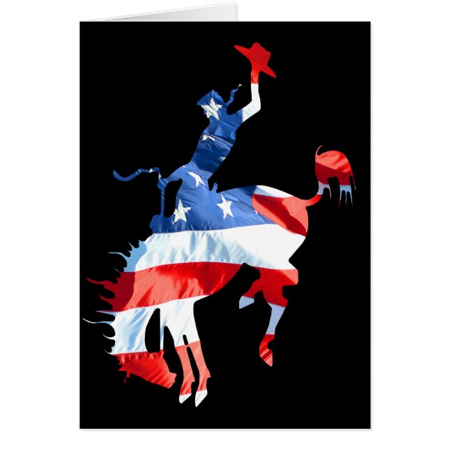 Rodeo ist Amerika - Bronco Riding 2 (Vorne)