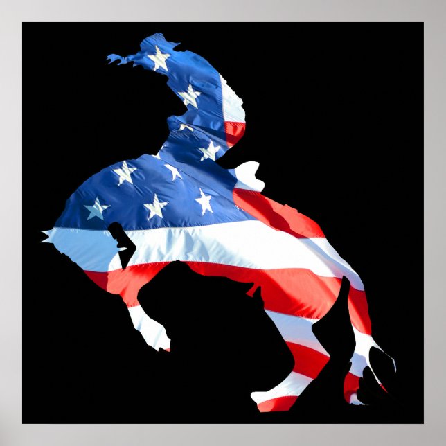 Rodeo ist Amerika - Bronco Riding Poster (Vorne)