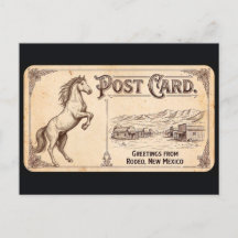 Rodeo, New Mexico - Pferd Vintage Postkarte