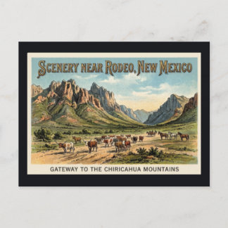Rodéo, Nouveau-Mexique - Carte Postale Ancienne de