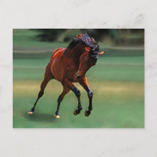 Rodeo-Pferd für den Cowboy Postkarte
