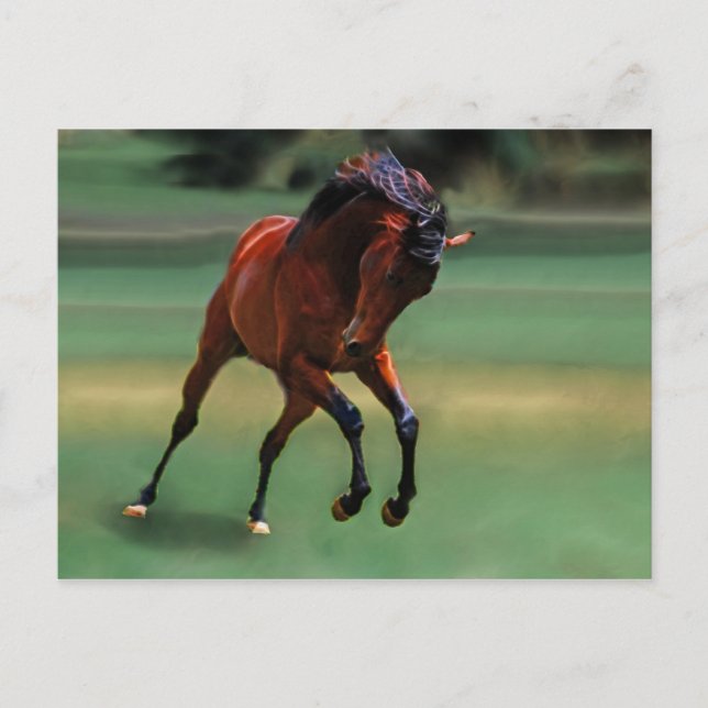 Rodeo-Pferd für den Cowboy Postkarte (Vorderseite)