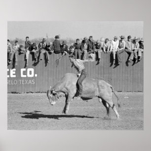 Rodeo-Stier-Reiter, 1940. Vintage-Foto Poster