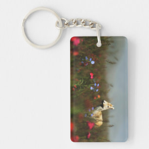 Roe dans un Porte - clé acrylique pré