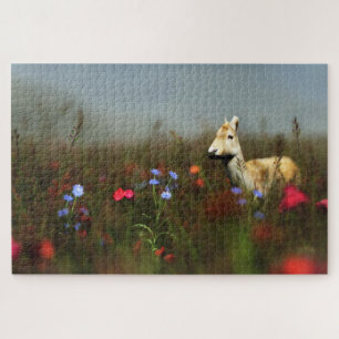Roe dans un puzzle de prairie