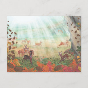 Roe Deer Capreolus capreolus in Forest Sunlight Feiertagspostkarte