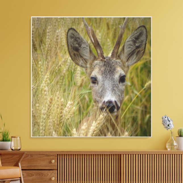 Roe Deer in Weizenfeld- Naturfotografie drucken Leinwanddruck (Insitu (Wohnzimmer))