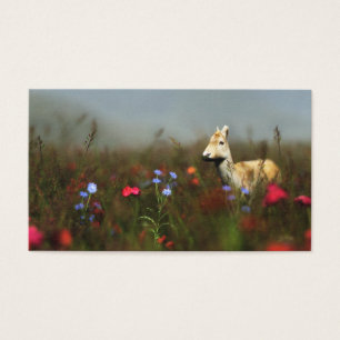 Roe in einem Meadow-Lesezeichen