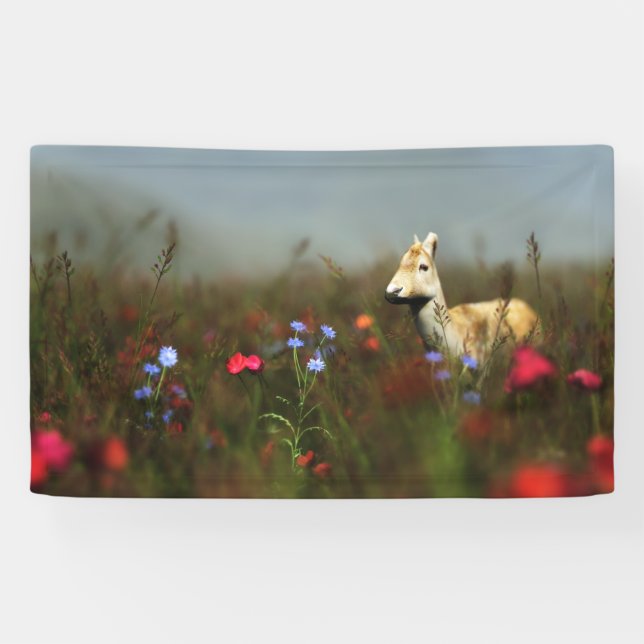 Roe in einem Wiese-Banner Banner (Horizontal)