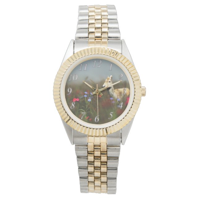 Roe in einer Wiesenschau Armbanduhr (Vorderseite)
