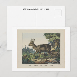 ROE Joseph Scholz, 1829 - 1880   Postkarte