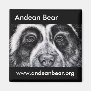 Roger Manrique Magnet