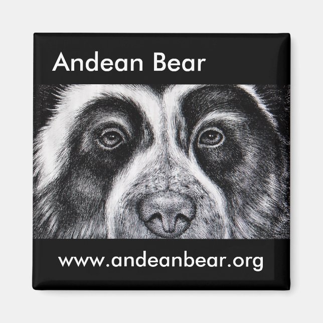 Roger Manrique Magnet (Vorne)