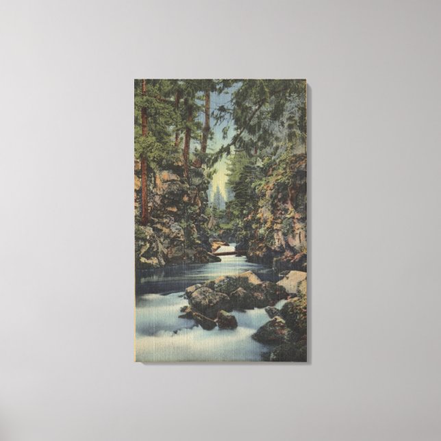 Rogue River, Oregon - Obere Schlucht Blick auf den Leinwanddruck (Vorderseite)