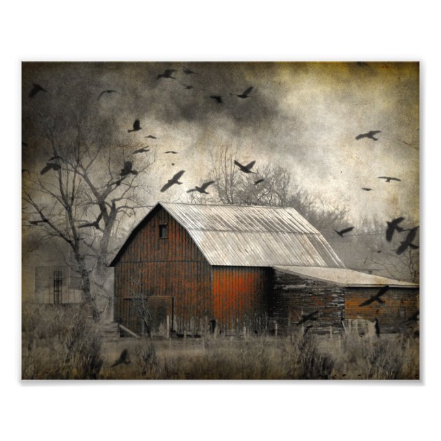 Roguish Ravens schuf ein Crownado Fotodruck (Vorne)
