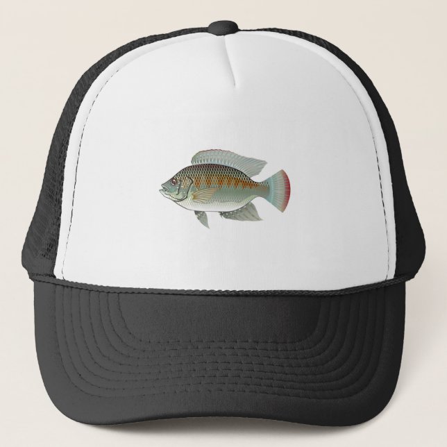 Rohe Meeresfrüchtetilapia-Fisch-Vektor Truckerkappe (Vorderseite)