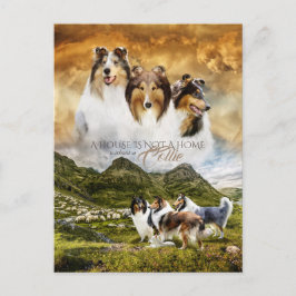 Rohes Collies Portrait & Schafherde + Quote - Postkarte