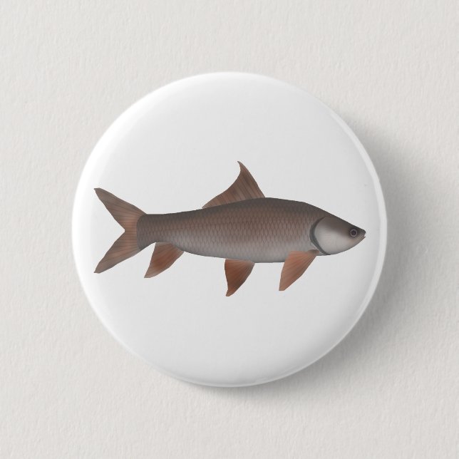 Roho Labeo Button (Vorderseite)