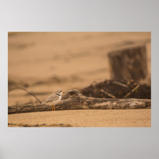 Rohrleitung 36 x 24 Value Poster Paper (Matte) (Vorne)