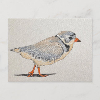 Rohrpflaster Postkarte
