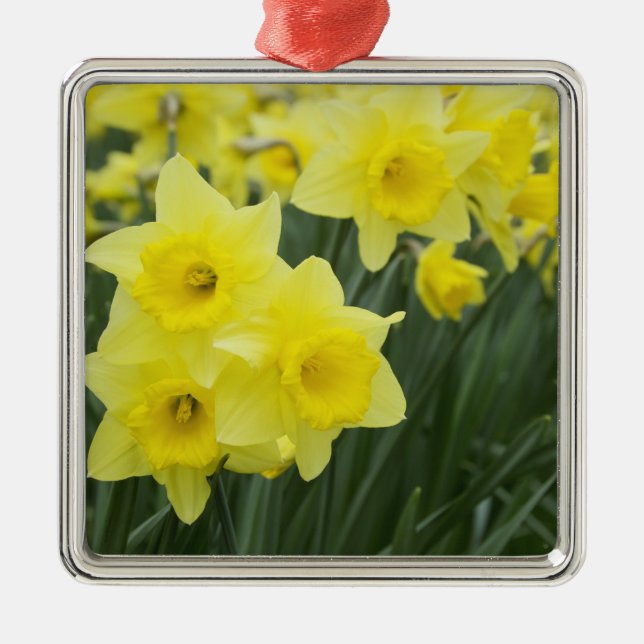 Rohstoffe Ornament Aus Metall (Vorne)