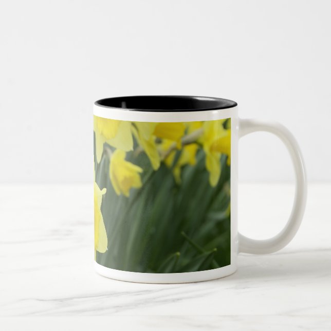 Rohstoffe Zweifarbige Tasse (Rechts)