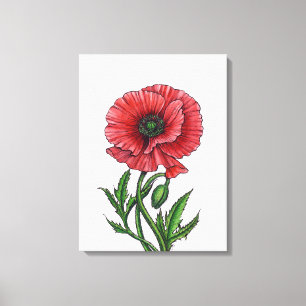 Rohter Mohn, Aquarell und Tinte Leinwanddruck