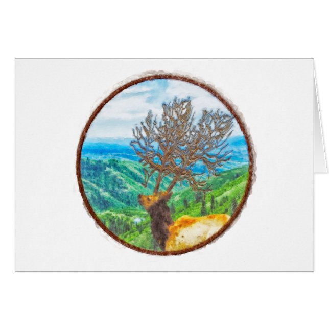 Roi Cervus (Devant Horizontal)