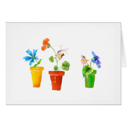 Roitelets et pots de fleurs