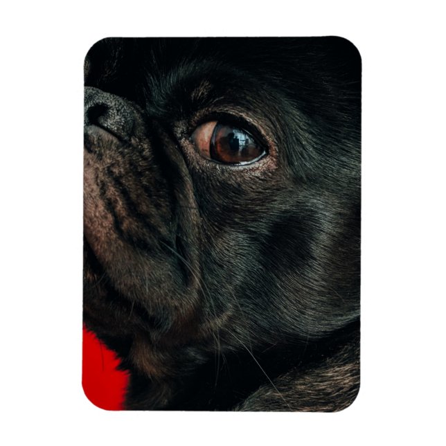 Rojo Magnet (Vertikal)