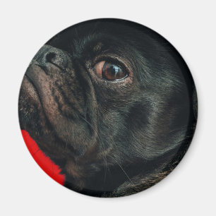 Rojo Magnet