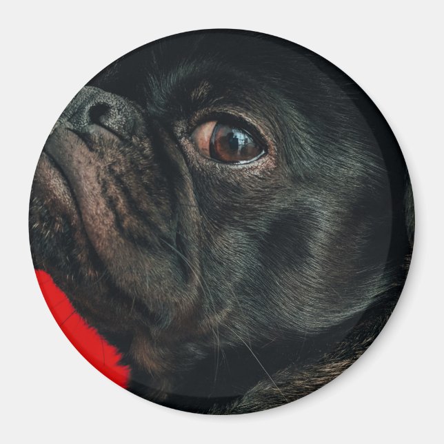 Rojo Magnet (Vorne)