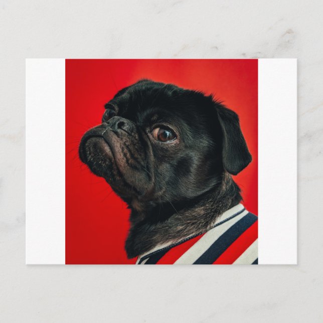 Rojo Postkarte (Vorderseite)