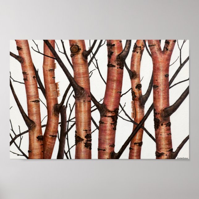 Rojos abbrechen poster (Vorne)