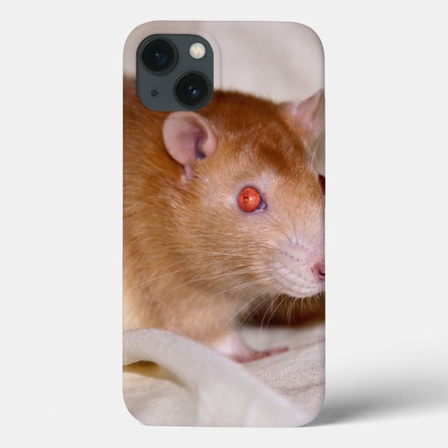 Rolando iPad Case (Rückseite)