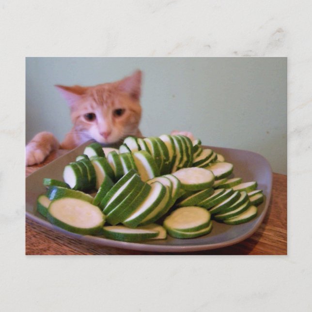 Rolle in Aktion Postkarte (Vorderseite)