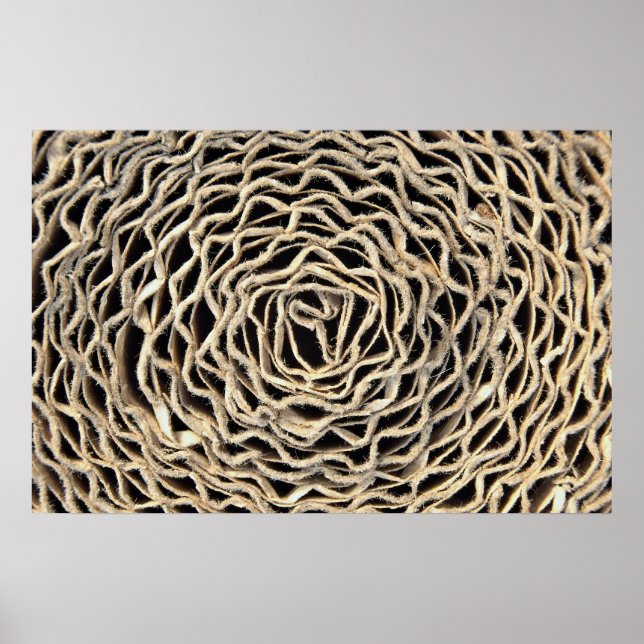 Rolle von Wellpapier Poster (Vorne)