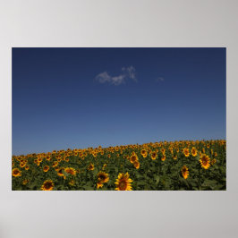Rollende Blume Poster