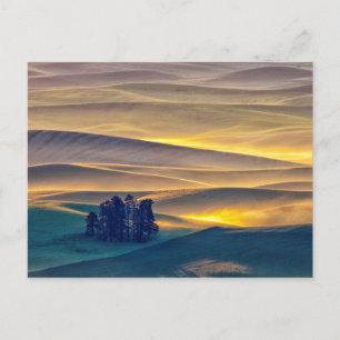 Rollende Weizenberge bei Sonnenaufgang   WA Postkarte