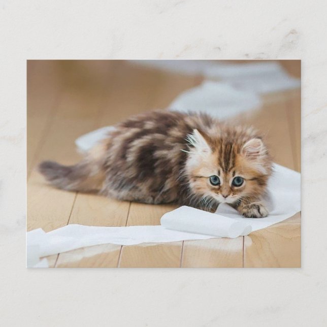 Rollenkitt Postkarte (Vorderseite)