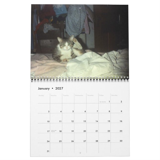 ROLLER 2007 KALENDER (Jan 2027)