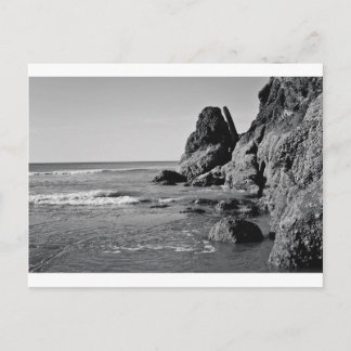 Roller Beach Black and White Postkarte