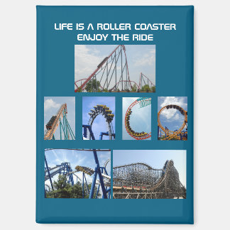 Roller Coaster Ride Magnet