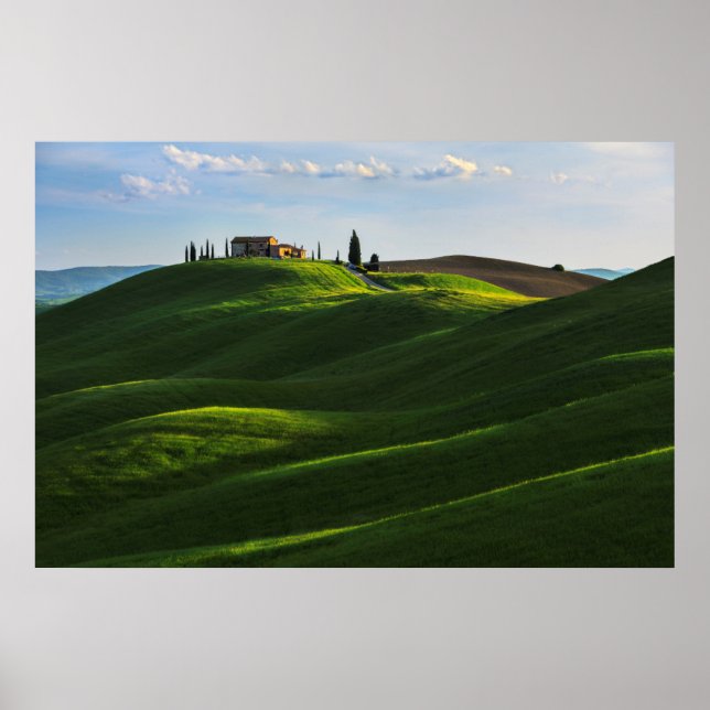 Rolling Hill in der Nähe von Asciano, Toskana Poster (Vorne)