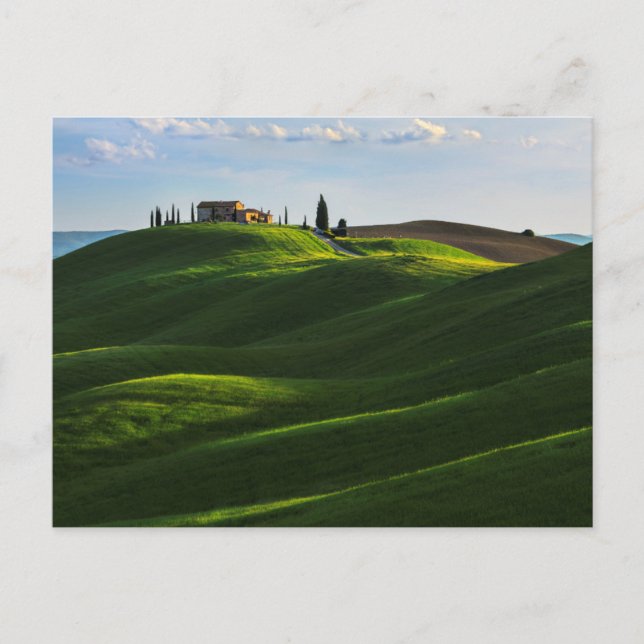 Rolling Hill in der Nähe von Asciano, Toskana Postkarte (Vorderseite)