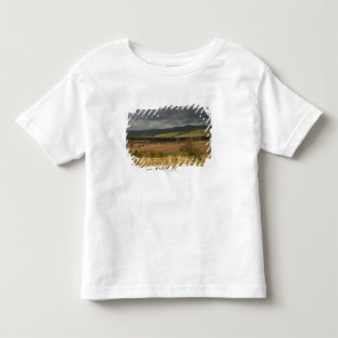 Rolling Hills und Berge unter einem bewölkten Kleinkind T-shirt
