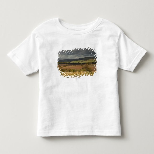 Rolling Hills und Berge unter einem bewölkten Kleinkind T-shirt (Vorderseite)