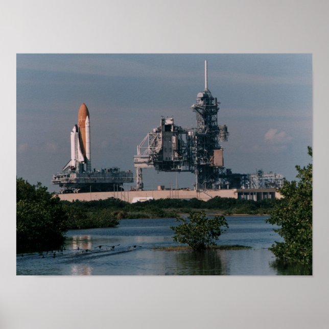 Rollout of Space Shuttle Endeavour (STS-72) Poster (Vorne)