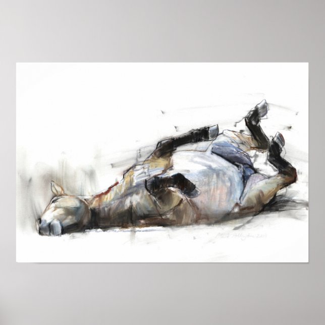 Rollrollen 2011 poster (Vorne)